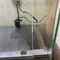 エーハイム　ガラスケージ　45×60