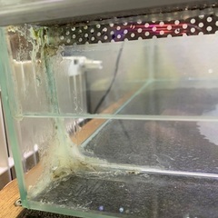 エーハイム　ガラスケージ　45×60