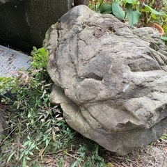 大きな庭石（お取引中）