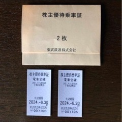 東武鉄道株主優待乗車証乗車券　2枚　