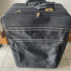 【G.W.断捨離中】布製　スーツケース　使用５回以内　バカデカ！