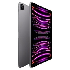 iPad Pro12.9 128g(第6世代) +Apple Pencil Apple Pencil 第2世代付き】iPad Pro 12.9 インチ 第6世代 - 2022 - Wi