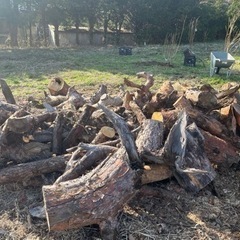 伐採木　薪