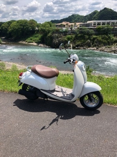 お買い上げいただきました、岐阜発クレアスクーピー絶好調