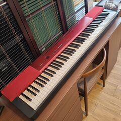 CASIO Privia プリヴィア デジタルピアノ 電子ピアノ...