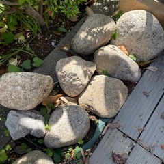 園芸用　石