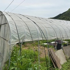 (受渡予定の方決定)至急！大幅値下げ！農業用ビニールハウス