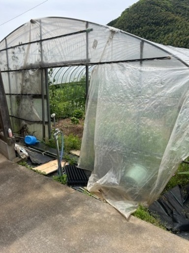 受渡予定の方決定)至急！大幅値下げ！農業用ビニールハウス - その他 