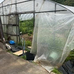 (受渡予定の方決定)至急！大幅値下げ！農業用ビニールハウス
