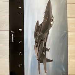 Boeing F-15 ポスター