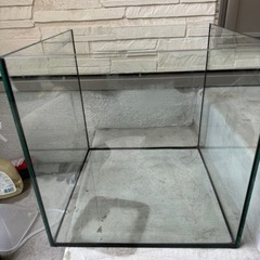 30センチ　ガラス　キューブ水槽