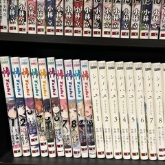 (5/6まで)咲-saki-1〜24巻+関連書籍セット