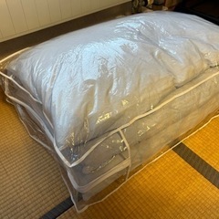 GW限定‼️残り3日‼️26万円→2万円⁉️