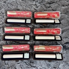 【最高級はんこ】背ワニケース、象牙はんこセット未彫刻【朱肉付けられます】