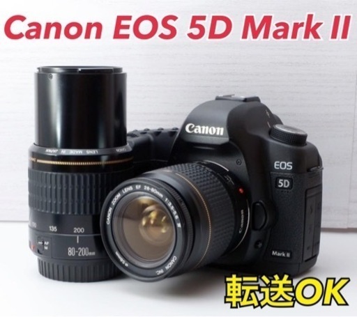 ★Canon EOS 5D Mark Ⅱ★S数約12800回●スマホ転送  1ヶ月動作補償あり！ 安心のゆうパック代引き発送！ 送料、代引き手数料無料！