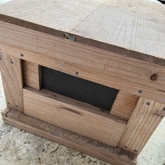 蜂の巣箱