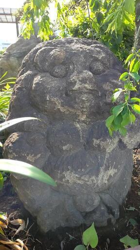 たぬきの石像　代理