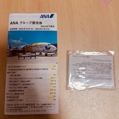 ANA 国内　航空券　50％　割引券　1枚