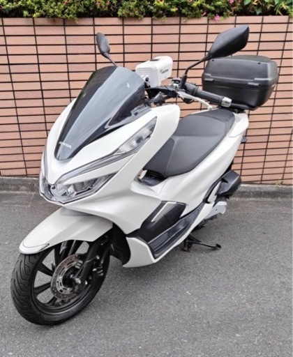 PCX 125 JF81 白  グリップヒーター付き 自賠責Ｒ8年まで