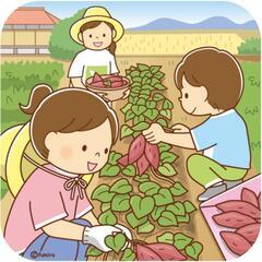 🌟畑活用無料🍉週末の趣味🍅家庭菜園🌽芋掘り🍆みずみずしい夏…