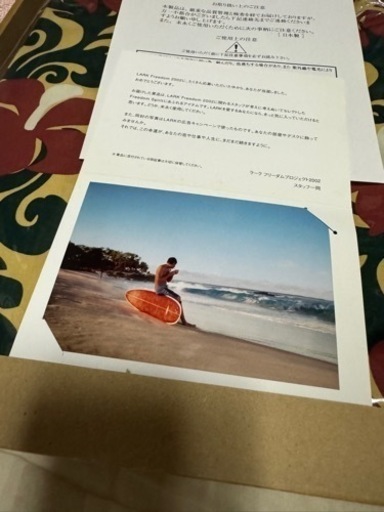 限定非売品アロハシャツLAKE2002 (ぶちはま) 石垣のその他の中古  