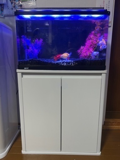 水槽セット