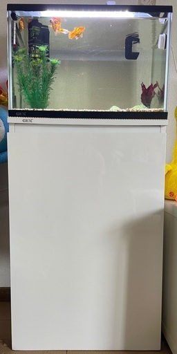 水槽セット