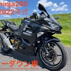 【ネット決済】実働車 ninja ニンジャ 250 カワサキ ロ...