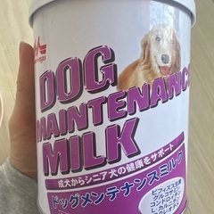 犬のミルク