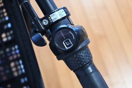 完売御礼】【大人用】整備済 ブリヂストン アンジェリーナ 20型 自転車