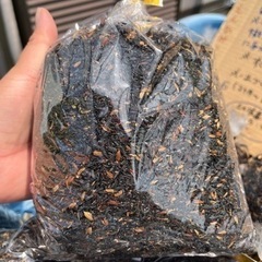 籾殻薫炭