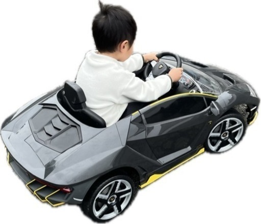 T-REX600E(DJI Wookong H GPS付)2台＋T10J+リポ電池＋充電機器：取りに