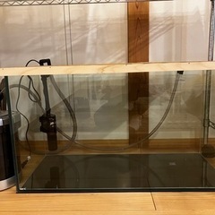 GEX90cmガラス水槽
