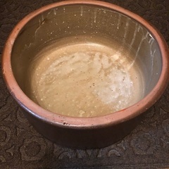 めだか鉢　メダカ鉢　陶器　ビオトープ
