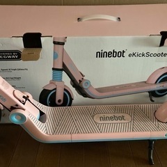 (決)セグウェイ　ナインボット