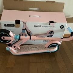 (決)セグウェイ　ナインボット