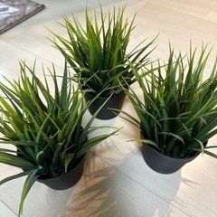 【IKEA】フェイク植物
