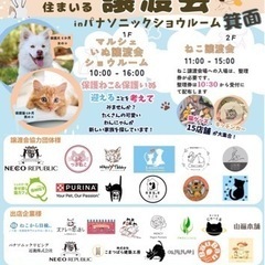 ５月４日猫譲渡会in箕面市