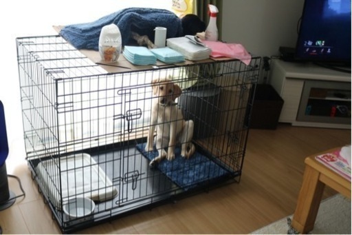 大型犬　ペットゲージ
