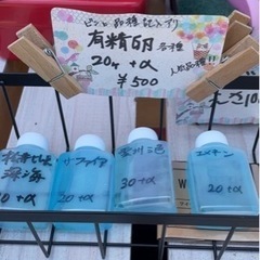 今年も開店です！【小さなメダカ無人販売所」 - 千葉市