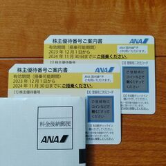【全国発送可】ANA株主優待　2枚（有効期限2024.11.30）