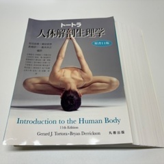 トートラ人体解剖生理学11版＋イラストで学ぶ生理学3版