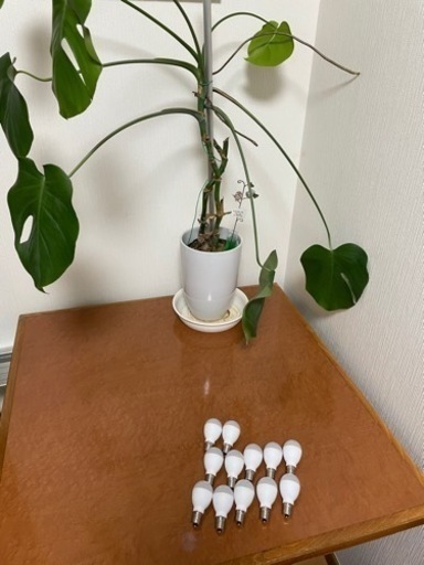 LED電球12個