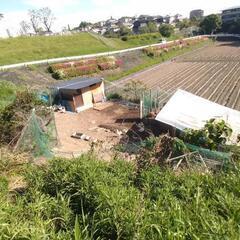 富田林市　五軒家1丁目　貸し土地 - 不動産