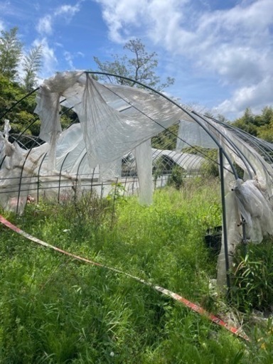 ビニールハウス