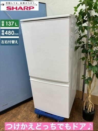 I339  SHARP 冷蔵庫 (137L) 2ドア ⭐ 動作確認済 ⭐ クリーニング済