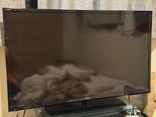 家電 テレビ 液晶テレビ
