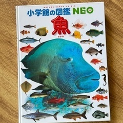 小学館図鑑NEO 魚【定価2200円くらい】
