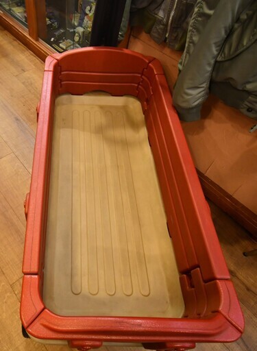 ○激レア○こんなの見たことない(* 