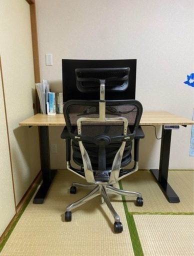 エルゴヒューマン プロ ⁄ オットマン内蔵型 ⁄ ヘッドレスト有り エルゴ 
